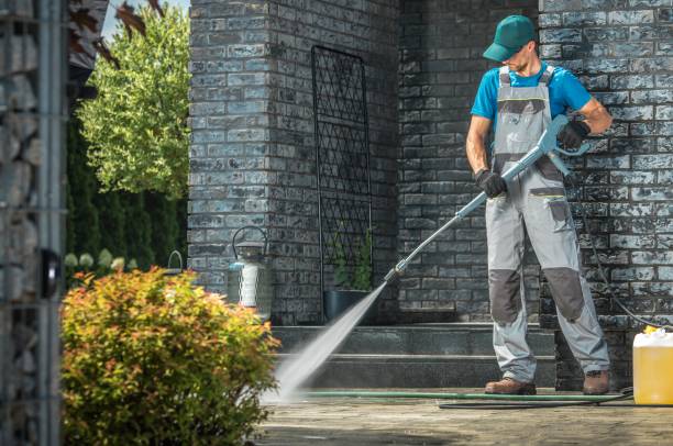 Best Solar Panel Cleaning  in Patton Village, TX