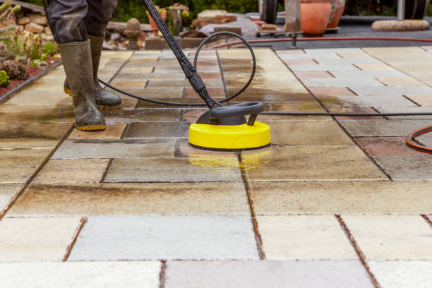 Animal Enclosure Cleaning in Patton Village, TX