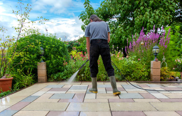 Professional Pressure Washing Services in Patton Village, TX